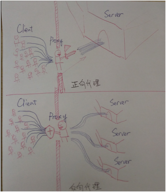 正向代理,反向代理和透明代理的原理和区别!